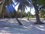 Another Casona lot.jpg